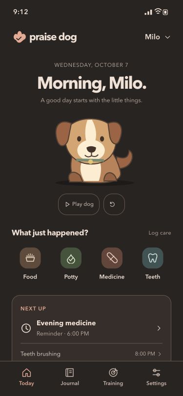 Dark Companion design preview with Milo, four care shortcuts and an evening medicine reminder